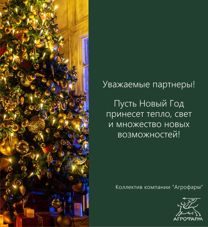 С наступающим Новым Годом и Рождеством!